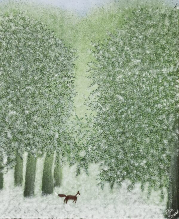 *A Winter Woodland*